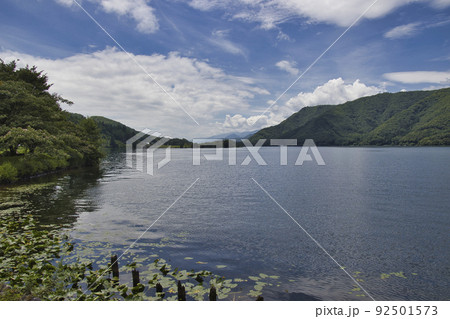 夏の木崎湖　長野県大町市 92501573