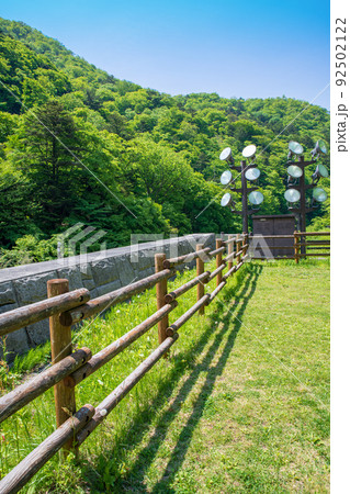 四万川ダム　日向見公園　ダム下周辺の風景　新緑の季節　 92502122