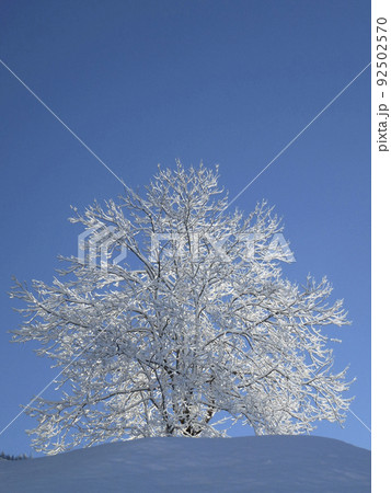 Winter hiking tour to Hoher Frassen mountain, Raggal, Austria 92502570