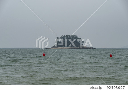 砂浜 夏 海岸 92503097