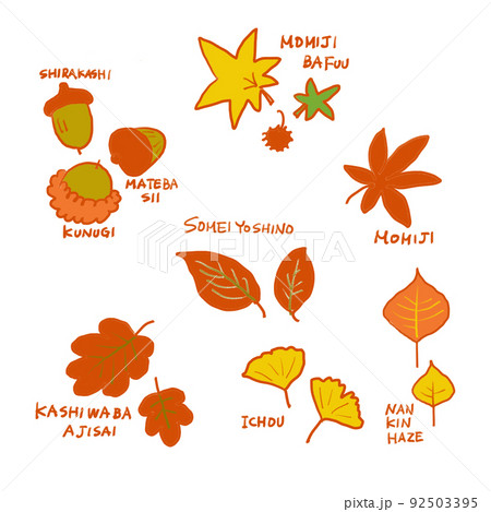 紅葉する木の葉と木の実 92503395