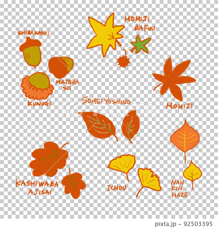 紅葉する木の葉と木の実 92503395