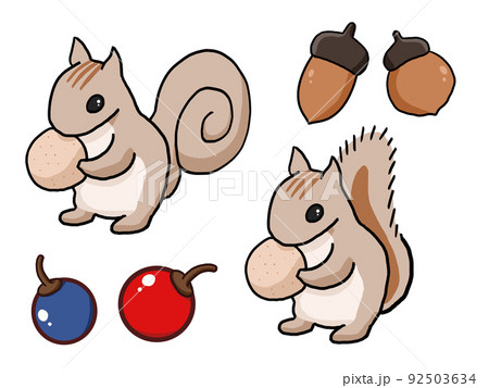 木の実を抱えたリスのイラストのイラスト素材 [92503634] - PIXTA