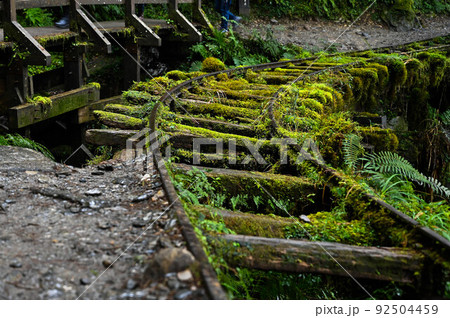 景色 風景 自然 92504459