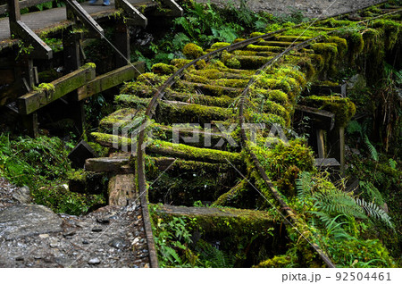 景色 風景 自然 92504461