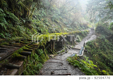 景色 風景 自然 92504770