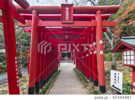 [九州・福津] 宮地嶽神社で奥之宮稲荷神社に導く鳥居のトンネル。 92504987