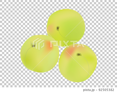 帶有青梅形象的插圖 帶有青梅形象的插圖 92505382