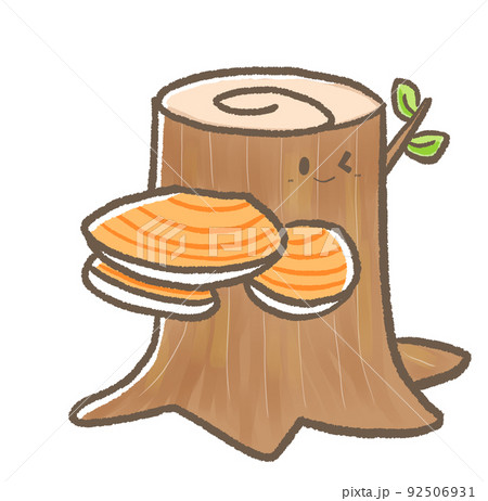 R:もっとメルヘンなきのこ☆さるのこしかけ③ 92506931