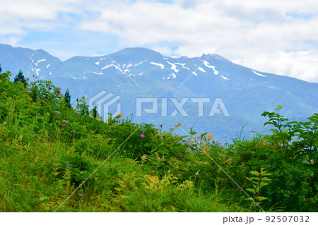 白山　御前峰　初夏　白山市 92507032