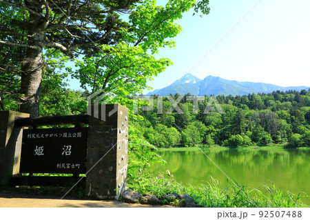 初夏の姫沼　残雪の利尻山 92507488