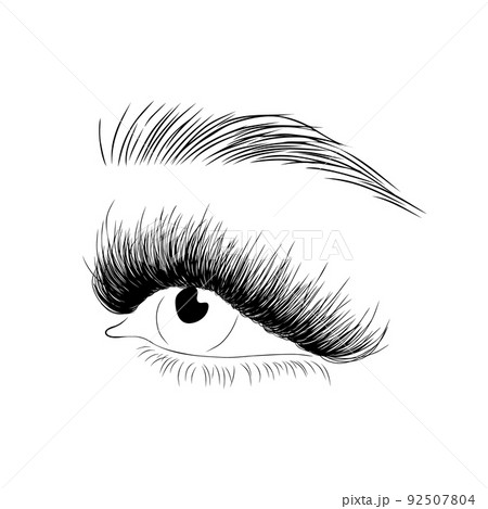 Realistic lashes on white background. Female open eyes and brows. Lamination and extension eyelashes. Beauty studio logo. Linear vector Illustration in trendy minimalist style 92507804