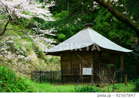 3654　慈光寺開山宝塔 92507847