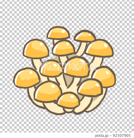 R: More fairy tale mushrooms ☆ Nameko ① R: More fairy tale mushrooms ☆ Nameko ① 92507905