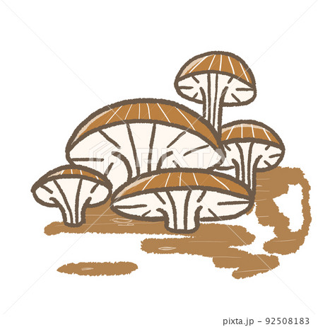 R:もっとメルヘンなきのこ☆ヒラタケ② R:もっとメルヘンなきのこ☆ヒラタケ② 92508183