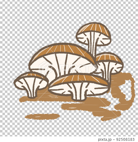 R:もっとメルヘンなきのこ☆ヒラタケ② R:もっとメルヘンなきのこ☆ヒラタケ② 92508183