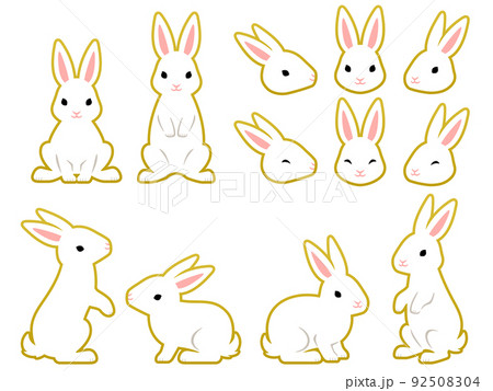 金縁のついた白いウサギの顔アイコンと全身イラストセット 92508304