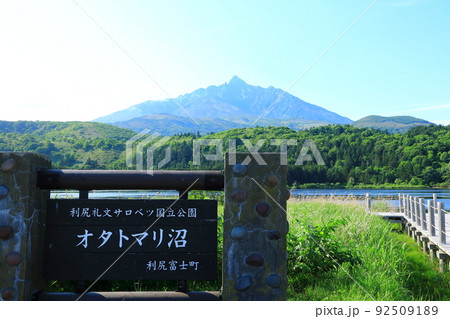 初夏のオタトマリ沼　水鳥と残雪の利尻山 92509189