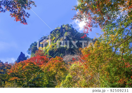 一目八景 92509231