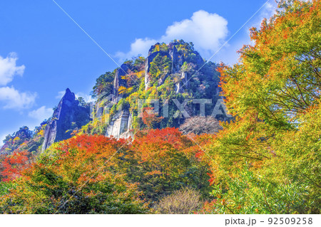 一目八景 92509258