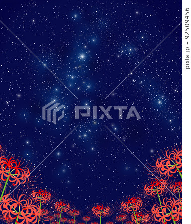 ヒガンバナ　彼岸花 92509456