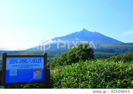 白い恋人の丘「沼浦展望台」残雪の利尻山 92509643