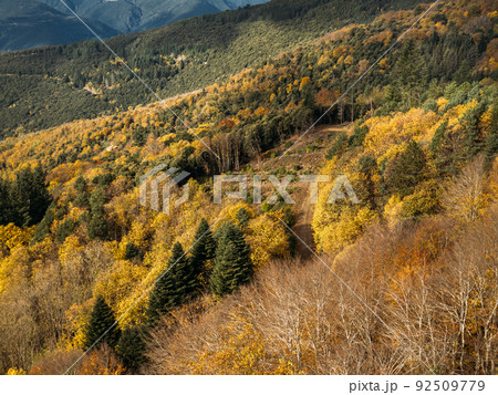 Autumn landscape with mountains and beautiful colored trees in the forest. Wonderful picturesque background. 92509779