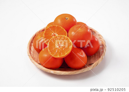 みかん　小原紅早生 92510205