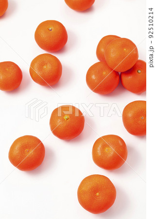 みかん　小原紅早生 92510214