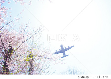 青空と桜の中を飛行する輸送機 92510376