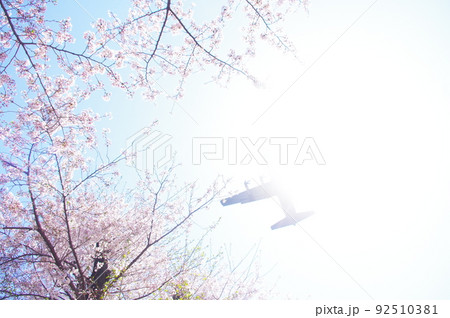 青空と桜の中を飛行する輸送機 青空と桜の中を飛行する輸送機 92510381