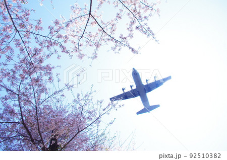青空と桜の中を飛行する輸送機 92510382