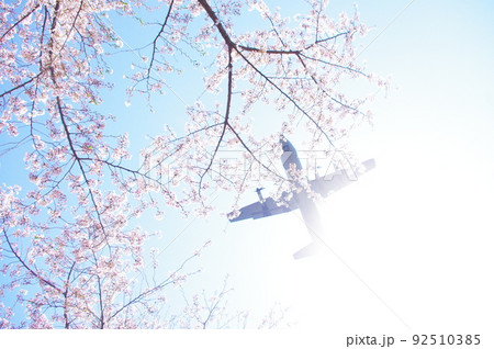 青空と桜の中を飛行する輸送機 92510385