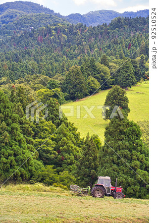 奥越高原牧場 92510524