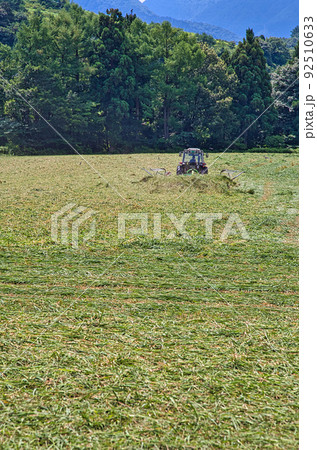 奥越高原牧場 92510633