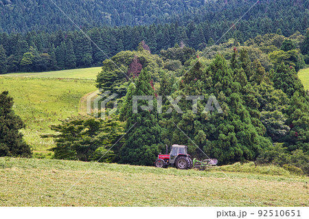 奥越高原牧場 92510651