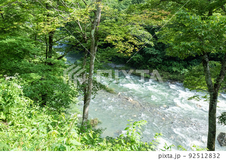 静かな森の中 92512832