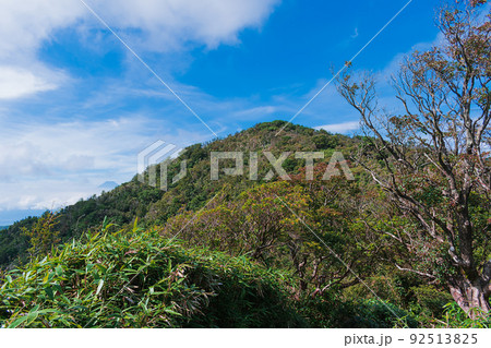 夏の伊豆半島 高原のトレッキングコースから見る風景 夏の伊豆半島 高原のトレッキングコースから見る風景 92513825
