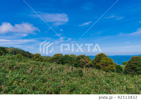 夏の伊豆半島 高原のトレッキングコースから見る風景 夏の伊豆半島 高原のトレッキングコースから見る風景 92513832