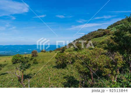 夏の伊豆半島　高原のトレッキングコースから見る風景 92513844
