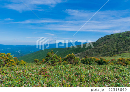 夏の伊豆半島 高原のトレッキングコースから見る風景 夏の伊豆半島 高原のトレッキングコースから見る風景 92513849