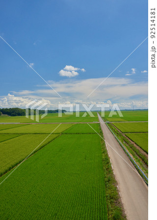 田園風景 田園風景 92514181