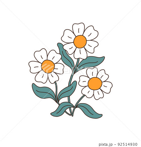 Chamomile flowers or daisy 92514930