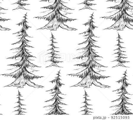 Vector seamless pattern with pencil sketch fir trees on a white background. Rustic forest background. 92515093