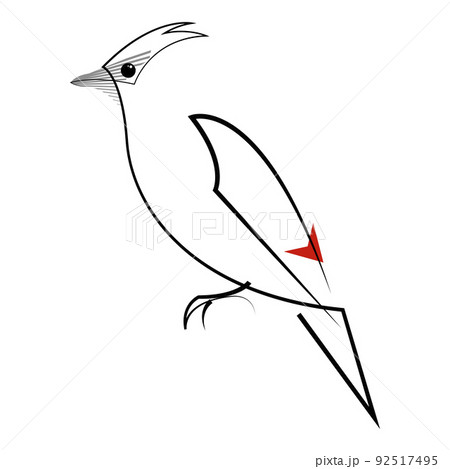 Waxwing bird minimalist line style vector illustration. Isolated on white background 92517495