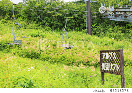 高山植物満開の五竜高山植物園 高山植物満開の五竜高山植物園 92518578