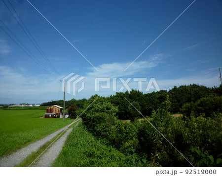 田舎道 愛知県半田市 田舎道 愛知県半田市 92519000