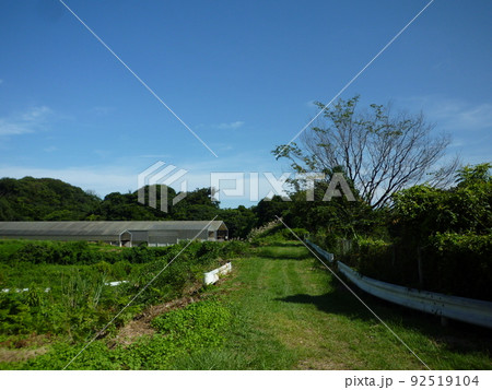 田舎道 愛知県半田市 田舎道 愛知県半田市 92519104