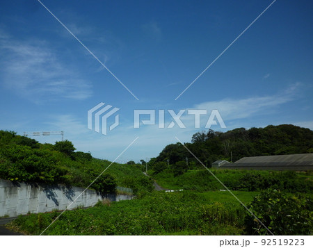 田舎道 愛知県半田市 田舎道 愛知県半田市 92519223