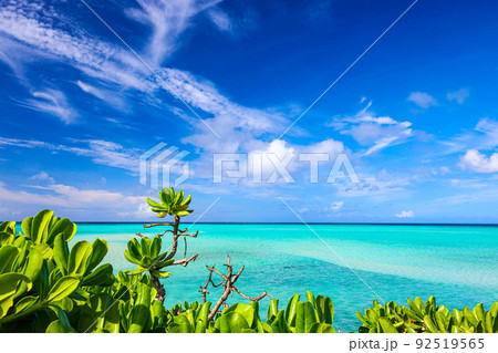 沖縄県宮古島 夏の風景 宮古ブルー 沖縄県宮古島 夏の風景 宮古ブルー 92519565